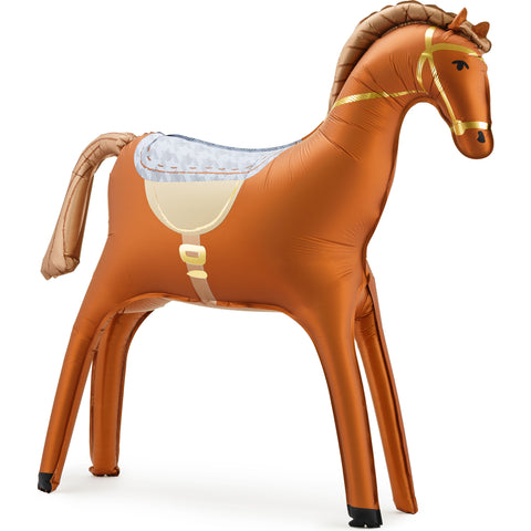 Balão Cavalo para Pousar