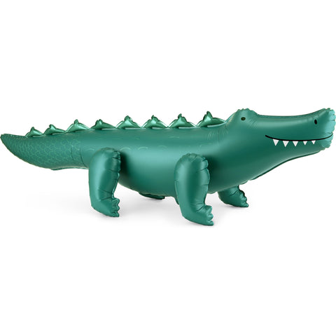 Balão Crocodilo para pousar