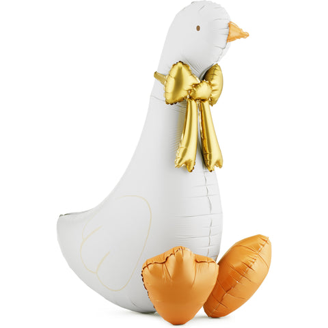 Balão para Pousar Ganso